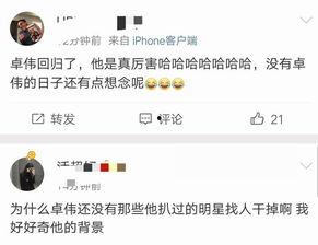 娱乐吃瓜吕小布微博,揭秘娱乐圈幕后故事